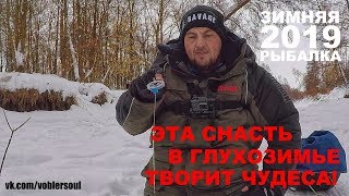 В ГЛУХОЗИМЬЕ ЭТА СНАСТЬ ДЕЛАЕТ РЕЗУЛЬТАТ! Ловля Плотвы на Безмотылку. ЗИМНЯЯ РЫБАЛКА 2019.