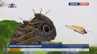 Гости из тропиков в Краеведческом музее