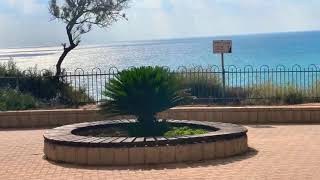 #Stray_#Cats_#Sighting_#In_#Netanya_#Israel/#Наблюдение_#За_#Уличными_#Кошками_#В_#Нетания_#Израиль