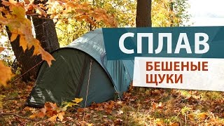 НУ И РЫБАЛКА! Щуки просто взбесились!