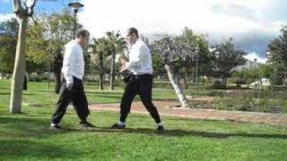PAK MEI, Forma Sap Ji Kuen y Sap Ji Kuan en el parque
