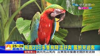 20180713中天新聞　暑假親子遊　前進綠世界觀賞動物生態