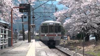 身延線　桜満開の塩之沢駅　313系普通列車　到着→出発