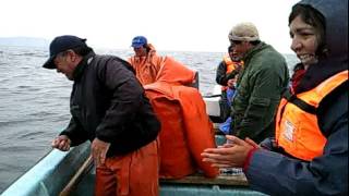 Pescando Sierra camino a la Isla Mocha
