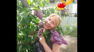 Мой ПРИВЕТ всем интернет-предпринимателям)