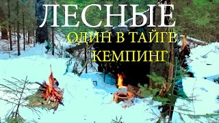 Один в тайге | Кемпинг - Alone In The Wild | Сamping