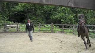 ナチュラル ホースマンシップ at Steven's Stable
