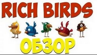 Rich Birds, Новый Развод на Аккаунты!