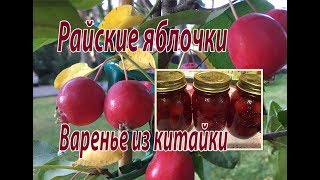 Райские яблочки. Варенье из китайки.