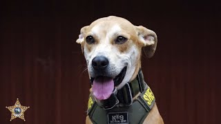 Guilty Verdict Brings Justice for Chance