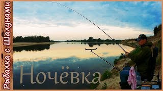 Рыбалка с ночевкой на закидушки (донки, фидер, балду). Нашествие подуста!
