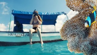FOUND NEMO IN AFRICA!  Zanzibar Snorkeling Day