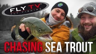 FLY TV - Chasing Sea Trout