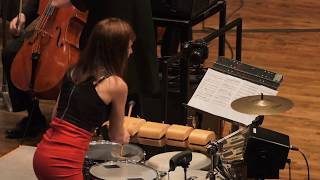 Lisa Pegher: "Northern Nights" EDM Percussion Concerto by Paul Dooley