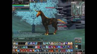 [TUTORIAL] How to get AP for Expert Bag - Rappelz 9,4