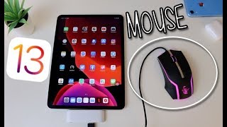 iOS 13: Collegare MOUSE su iPad | Approfondimento