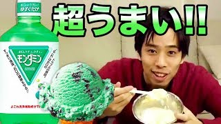 【奇跡】モンダミンとバニラアイスでチョコミントアイスはできるのか⁉️