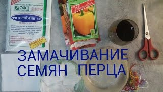 Мой метод замачивания семян перцев.