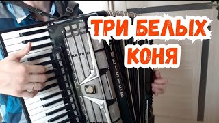 Песня И уносит меня три белых коня на аккордеоне/ гармонист Баянист