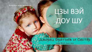 #35 Дворец Братьев и Сестёр I Цзы Вэй Доу Шу