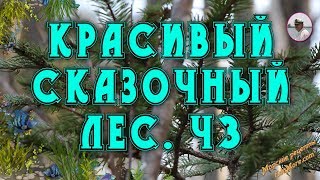 Красивый сказочный лес видео от Sonykpk
