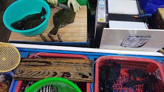 Korean street food/Korean style sashimi/韓国刺身
