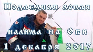 Подледная ловля налима на Оби (ХМАО) 1 декабря 2017  (FullHD) #ловляналиманаоби #ловляналимазимой