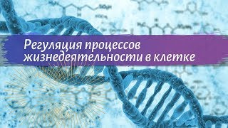 Биология 9 класс Пасечник $10 Регуляция процессов жизнедеятельности в клетке