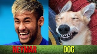 Football Players Who Look Like Animals ● ft. Ronaldo, Messi, Neymar, Ibrahimovic...