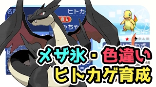 【ポケモンサンムーン実況】色違いめざめるパワー氷のメガリザードンｙ育成