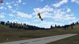 PicaSim Flight Simulator