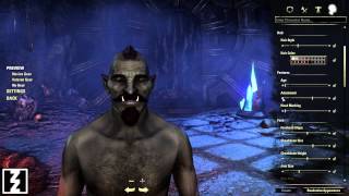 Orc - Elder Scrolls Online Beta - Character Creator