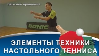 Элементы техники НАСТОЛЬНОГО ТЕННИСА (Видео-глоссарий НАСТОЛЬНОГО ТЕННИСА, ч. 2)