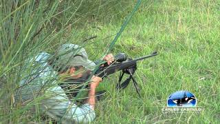 ROEBUCK HUNTING 5