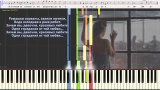 Ромашки спрятались - Сопрано 10 (Вокальная партитура, Ноты)