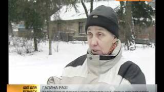 Питомник собак: сколько стоит начать бизнес