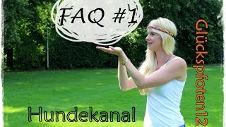 FAQ #1 - ASK Glückspfoten. Eure Fragen - meine Antworten. Hundekanal.