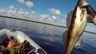 Рыбалка на Рыбинском водохранилище июль 2017