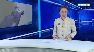 Новости Гродно. (Выпуск 16.10.19). News Grodno. Гродно Плюс