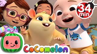 Class Pet Song | + More Nursery Rhymes & Kids Songs - CoCoMelon