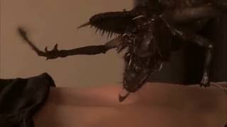 scourge (2008) Robyn Leduox belly buttom Gif ( make this a gif)
