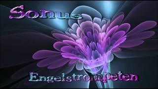 Sonus - Engelstrompeten