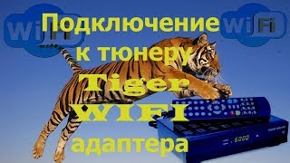 Подключение к тюнеру Tiger WIFI адаптера