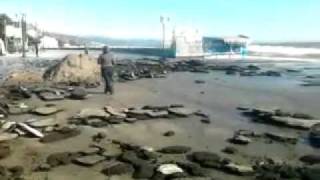 Алушта после шторма 8 февраля 2012