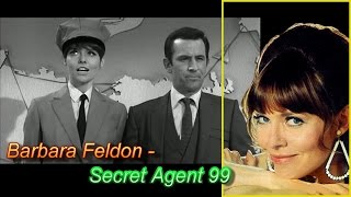 Barbara Feldon - Agent 99 - Smart,Sexy.and Beautiful Spy