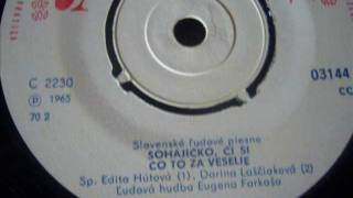 Čo to za veselie- Darina Laščiaková