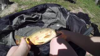 peche de la carpe au maïs (GOPRO HD)