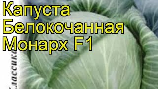 Капуста белокочанная Монарх F1. Краткий обзор, описание характеристик brássica olerácea