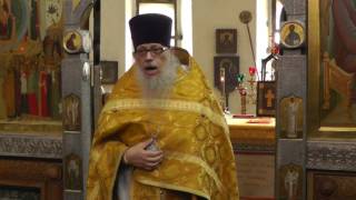 2017 06 18 Всех Святых в земле Русской просиявших
