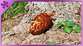 DIY How to make ribbon pine cone, autumn decoration (ENG Subtitles) - Speed up #520